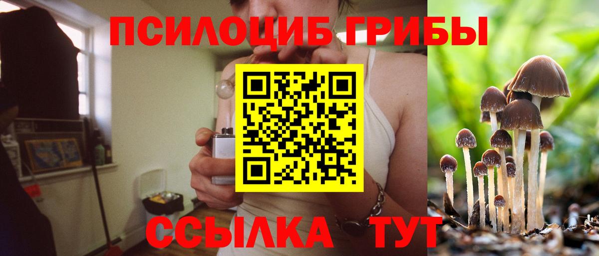 Сыктывкар  Псилоцибиновые грибы Magic Shrooms  Вход с VPN 